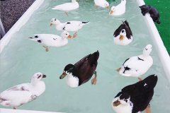 気持ちよさそう